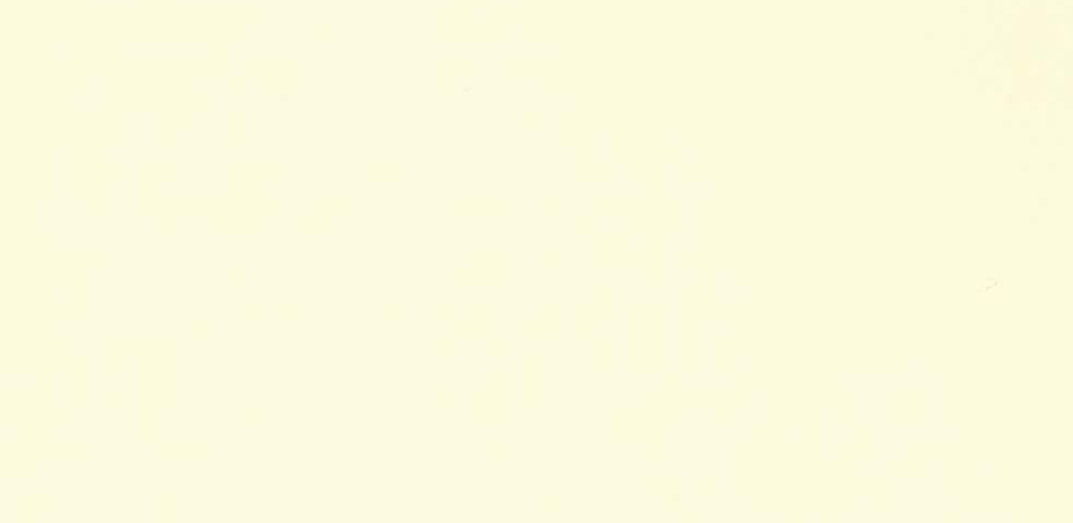 Torinoko Cream post card set
