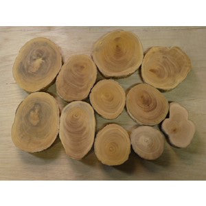 Boxwood round slices